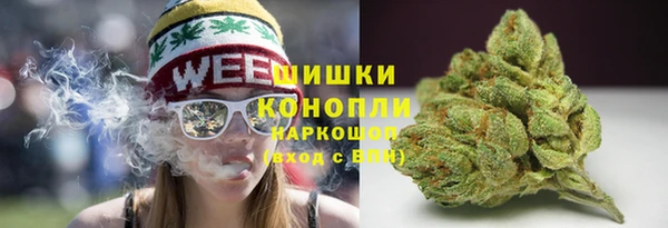 прущий лед Вязьма