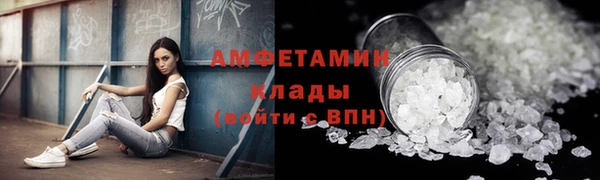 гидропоника Гусиноозёрск