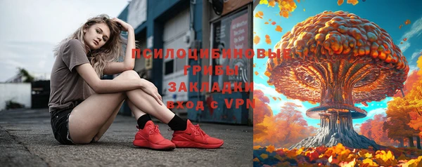 винт Армянск
