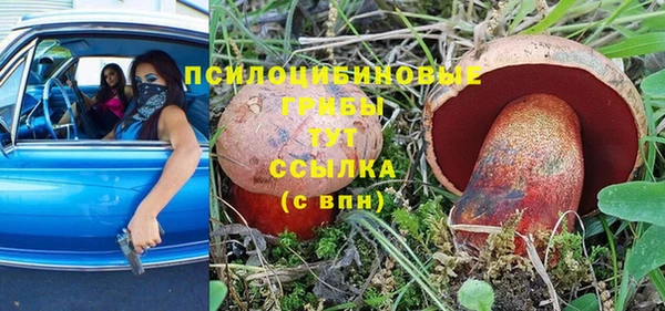 MESCALINE Аркадак