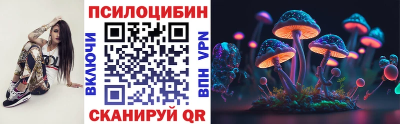 Купить закладки  Новотроицк  Псилоцибиновые грибы Cubensis 